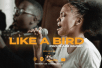 Proclaim Music – Like A Bird