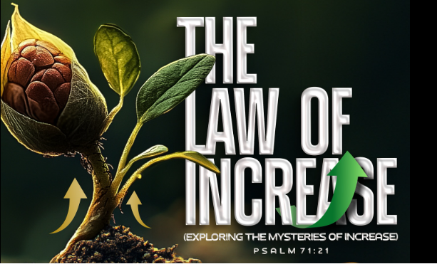 The Law Of Increase (Exploring The Mysteries Of Increase) by Apostle Selman